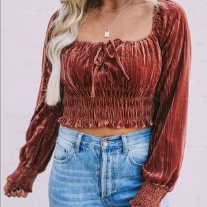 Rust Velvet Crop Top